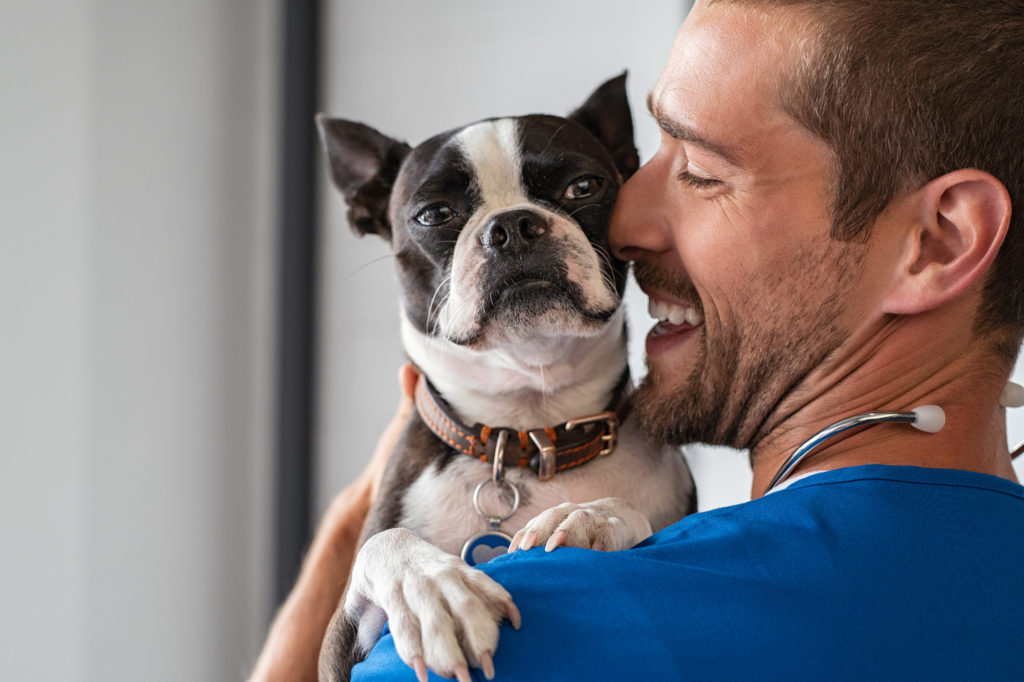 Veterinarian holding small dog