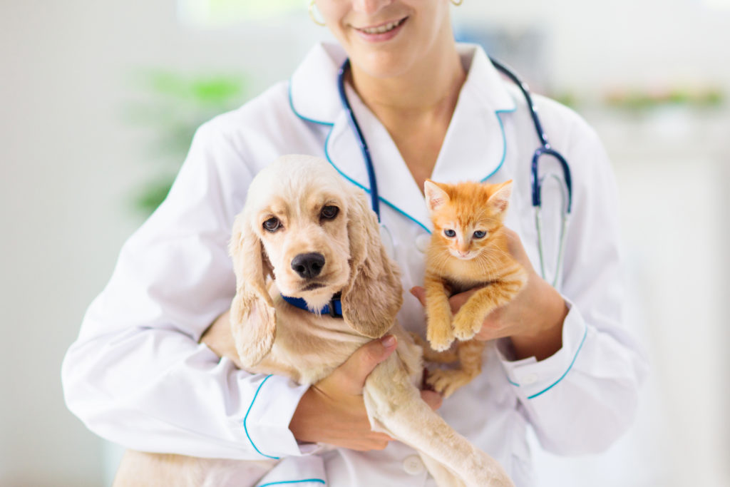 Woman at a veterinary Compounding Pharmacy holding a dog and a cat